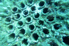 Boiler der Teti